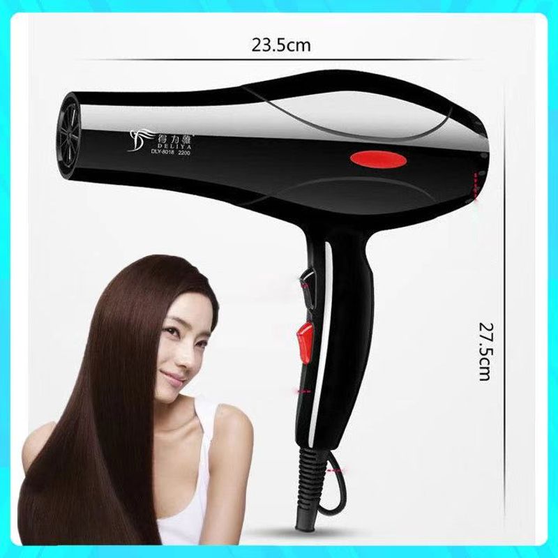 DLY-8018 Hair Dryer