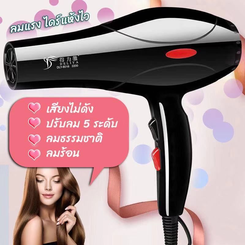 DLY-8018 Hair Dryer