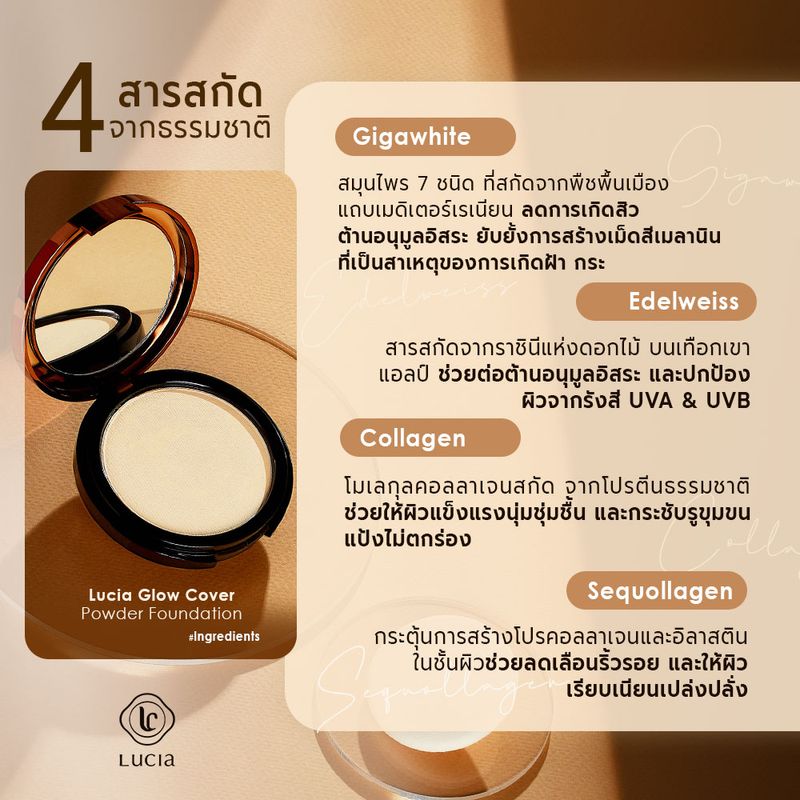 แป้งผสมรองพื้นลูเซีย C2.5 ผิวสองสี Lucia Glow Cover Powder Foundation