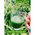 WHEAT GRASS POWDER,1 แถม 1