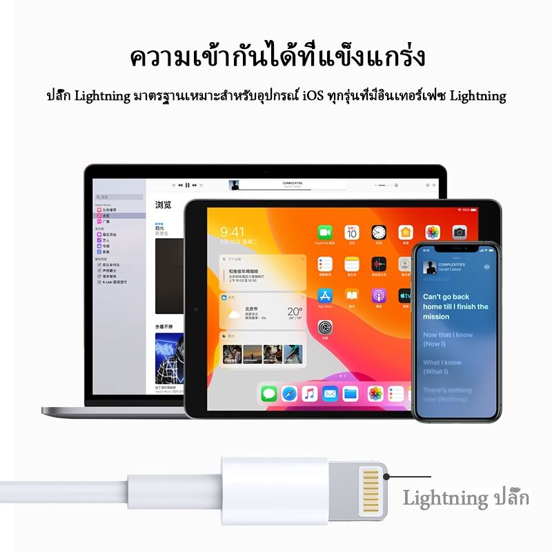 [ของแท้อย่างเป็นทางการ] หูฟัง IP ดั้งเดิมของ Lightnin