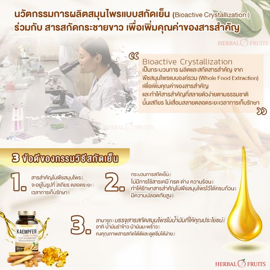 (ซื้อ1แถม1)กระชายขาว 100% น้ำมันกระชายขาวสกัดเย็น 500mg ออแกนิค