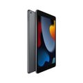 Apple:iPad (9th Gen 2021),เงิน,64GB,Free Shipping