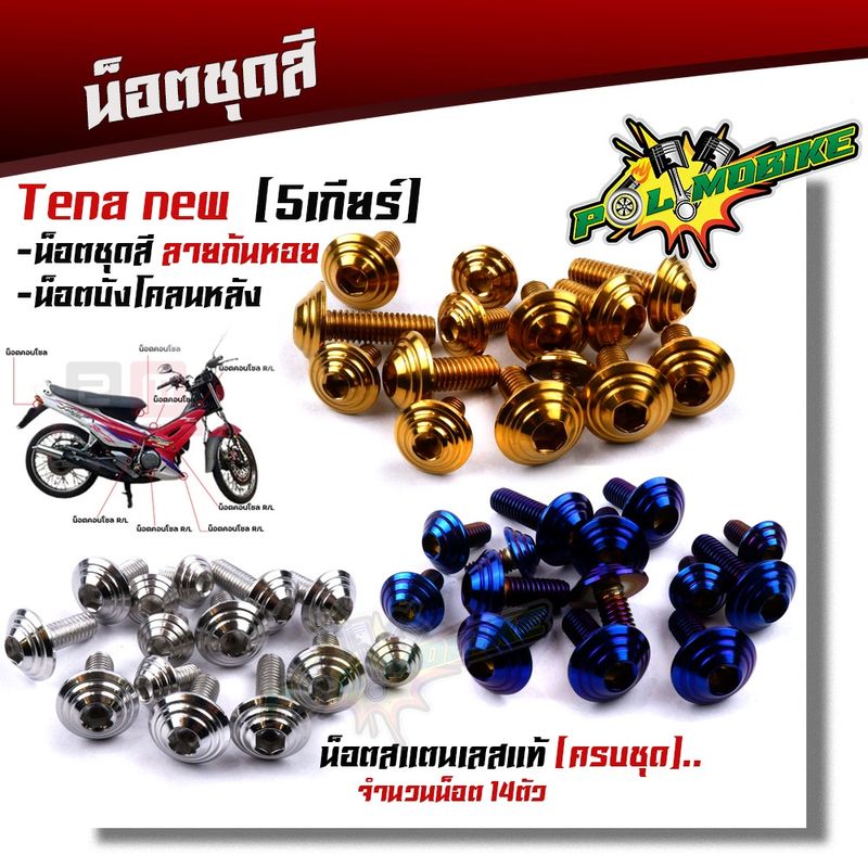 น็อตชุดสี TENA NEW 5เกียร์ (1ชุด14ตัว) เลสแท้100% น็อตก้นหอย ครบชุดรวม น็อตบังโคลน น็อตเฟรมเทน่า น็อตชุดสีเทน่า