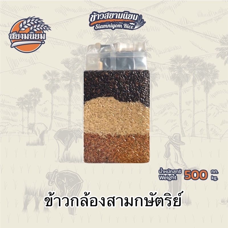 *ค่าส่งถูกที่สุด*ข้าวกล้อง 3 กษัตริย์ 500 กรัม ข้าวเกี่ยวใหม่