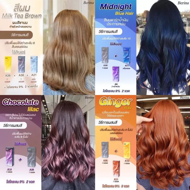 สีย้อมผม สีเบอริน่า Berina Hair Color A1-A47