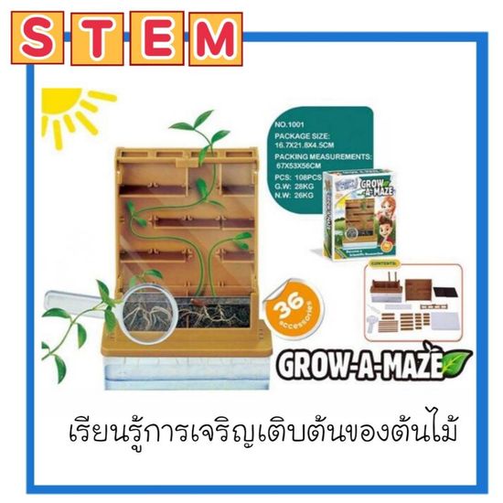 👑Alice&kids👑 Stem DIY ชุดทดลองวิทยาศาสตร์ Grow a maze ดูการเจริญเติบโตของต้นไม้