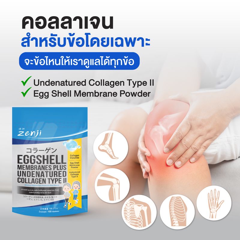 คอลลาเจน สูตรบำรุงข้อโดยเฉพาะ Zenji Eggshell Plus Undenatured Collagen Type II เยื่อหุ้มเปลือกไข่ อันดีเนเจอร์ คอลลาเจน ไทพ์ทู คอลลาเจนบำรุงกระดูก