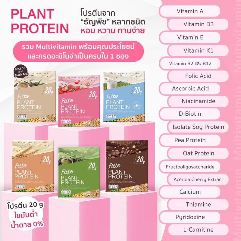 Fitto Plant Protein 2 กล่อง