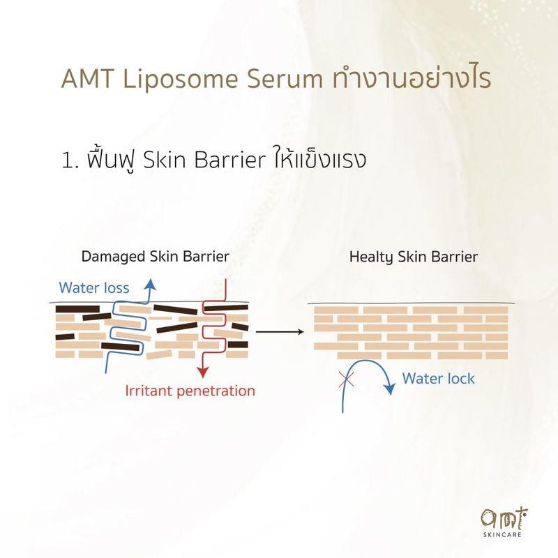 AMT Liposome Serum - เซรั่มฟื้นฟูเกราะป้องกันผิว ผิวอิ่มน้ำ กระจ่างใส (ทุกสภาพผิว)