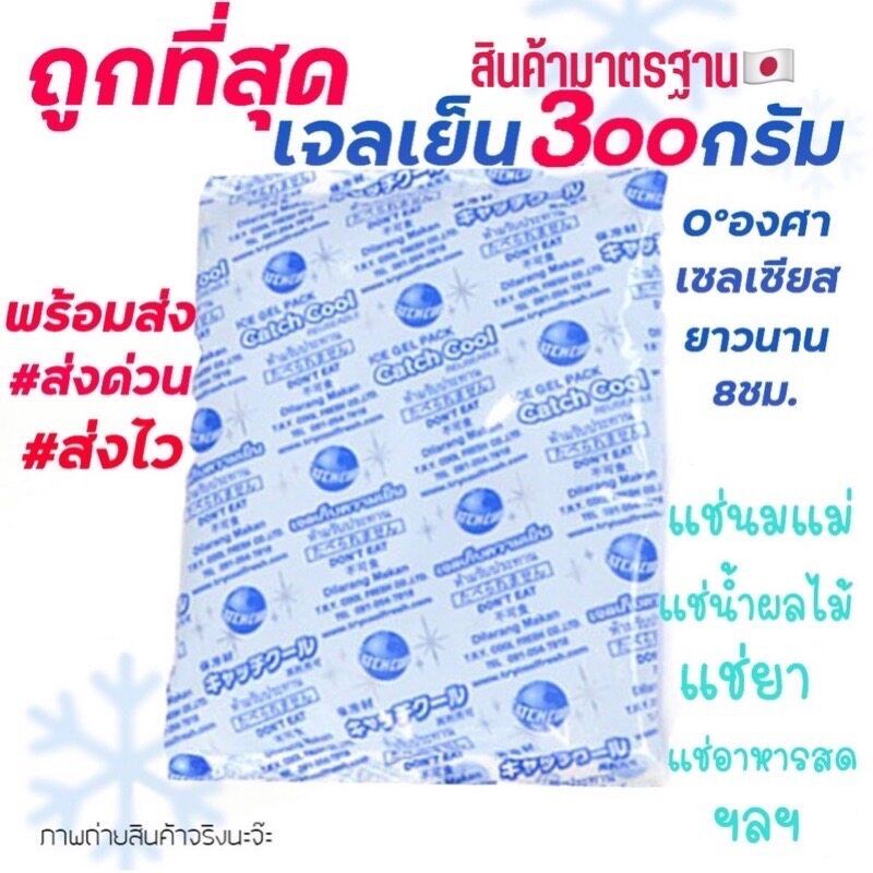 เจลเก็บความเย็น 300กรัม Ice Pack 300g อุณหภูมิ 0cํ แช่อาหาร แช่ของสด แช่น้ำนม เก็บรักษาอุณหภูมิ เก็บความเย็น