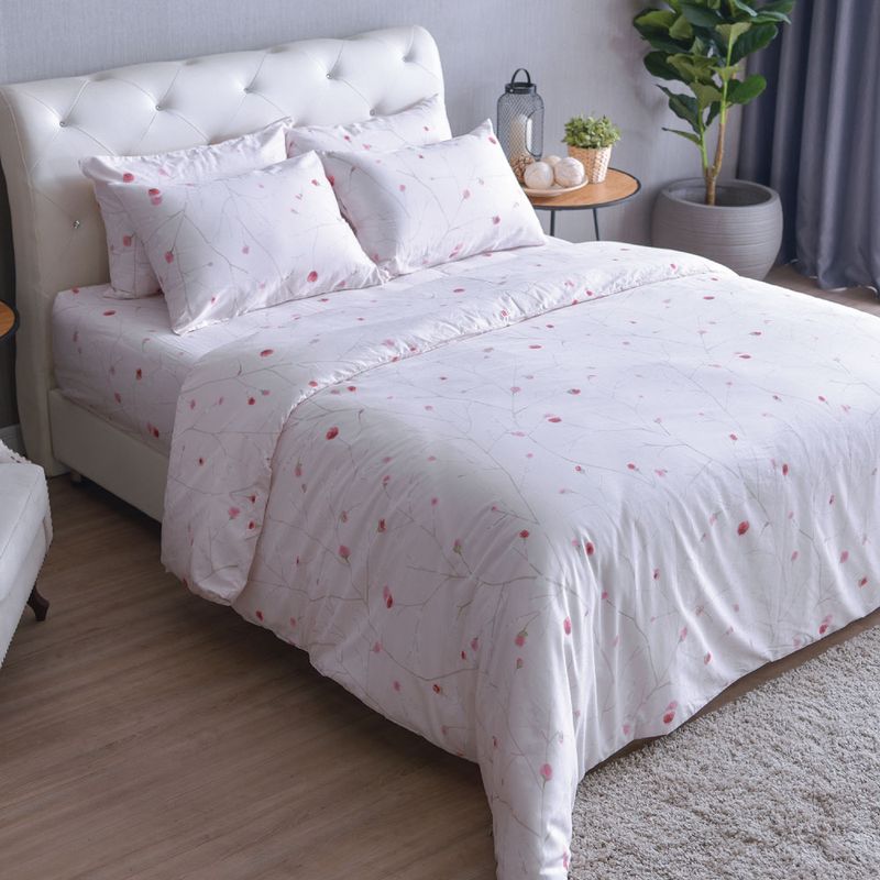 LUCKY mattress ผ้าปูที่นอน Cotton 100% SIGNATURE COTTON COLLECTION Design Color