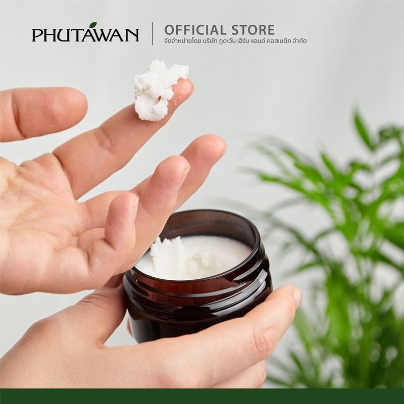 Phutawan Shea Butter Organic 100% เชียร์บัตเตอร์ ออแกนิค 60g ทาบำรุงผิว ท้องแตกลาย ใช้กับเด็กเล็กลดผดผื่นคัน