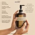 Healthy & Shine Set AVANA Shampoo and AVANA Premium Boar Bristle Brush SET สุดคุ้ม แชมพูผ่อนคลาย ปรับสมดุลหนังศีรษะ ลดผมร่วง ลดรังแค คู่กับ หวีขนหมูป่าพรีเมียม