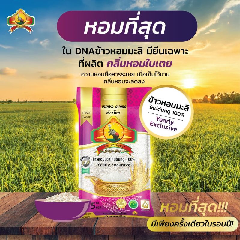 ซื้อในไลฟ์สดลด 100.- (ส่งฟรี)(แพ็ก3)(ปี67)นุ่ม/หอมที่สุด ข้าวหอมมะลิใหม่ต้นฤดู100% ขนาด5KG