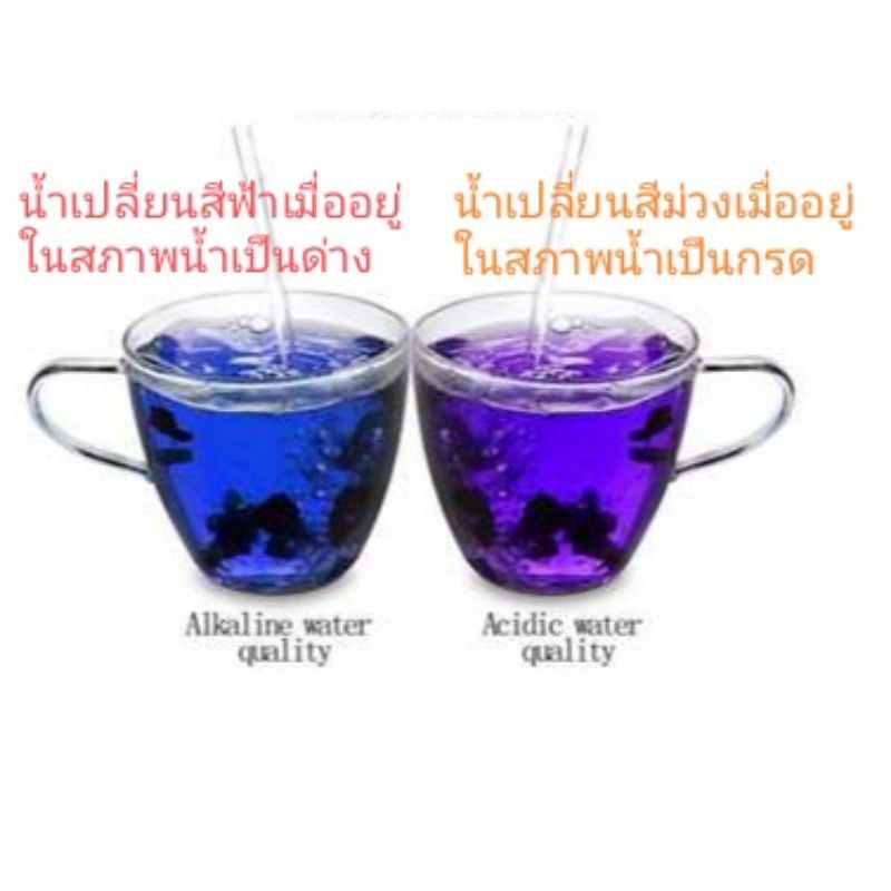 โกจิเบอร์รี่ดำBlack Goji Berry