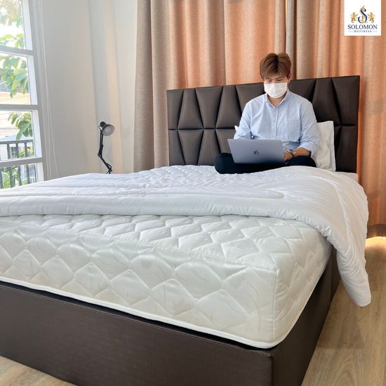 Solomon Mattress ที่นอนสปริง [ส่งฟรี] หนา9นิ้ว รุ่น Miya Plus แถมหมอนหนุนพรีเมี่ยม 1 ใบ