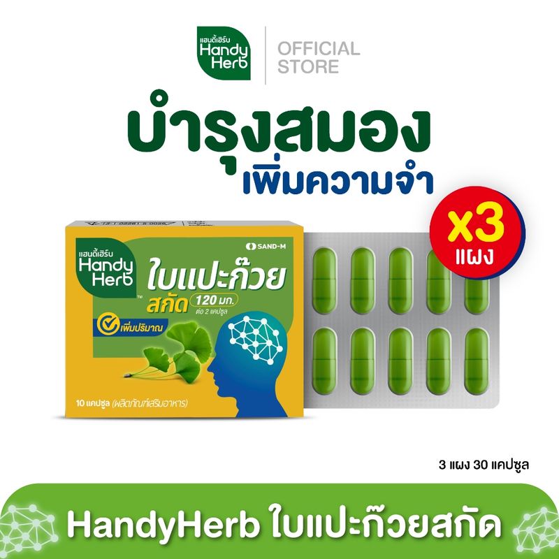 HandyHerb ใบแปะก๊วยสกัดสูตรใหม่ ขนาดแผงคุ้มค่า สมุนไพรเสริมความจำ ทานประจำคุ้มกว่า