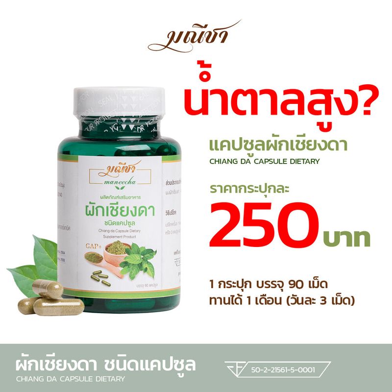 น้ำตาลสูง? ผักเชียงดาชนิดแคปซูล 90แคปซูล/กระปุก ตรา มณีชา ออร์แกนิค100% ส่งฟรี มี อย. มีเวลาน้อย ก็ดูแลสุขภาพได้ ยิ่งซื้อ ยิ่งลด ซื้อ >5 ทัก