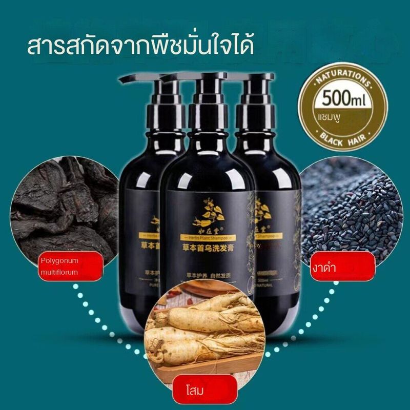 【กำจัดผมหงอก ไม่ต้องย้อมผม】โรงพยาบาลบำรุงราษฎร์ แชมพู 500ml สิ่งประดิษฐ์ป้องกันผมร่วง เพิ่ม Polygonum multiflorum Essence ช่วยบำรุงผมและปรับปรุงผมชี้ฟู，ซ่อมแซมผมขาวตั้งแต่เริ่มต้น ซ่อมแซมผมเสีย.แชมพูสระผม แชมพูแก้ผมหงอก ยาสระผมดำ แชมพ แชมพูสมุนไพร แชมพูช