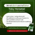 TOBY HORSETAIL ของแท้ หญ้าหางม้าสกัดเย็น โทบี้หญ้าหางม้า วิตามินบำรุงผม ชะลอเกิดหงอก ลดผมร่วง ทำให้รากผมแข็งแรง✨