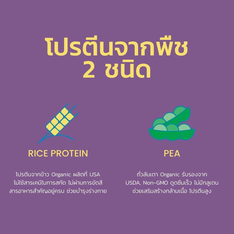 PlantoMonster Plant-Based Protein โปรตีนพืช รส คาราเมล มัคคิอาโต้ 1 กล่อง 7 ซอง ซองละ 27 กรัม โปรตีนสูง มี L-Carnitine