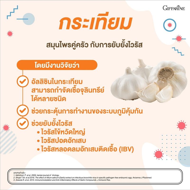 [ส่งฟรี] กระเทียมสกัด กระเทียมกิฟฟารีน ชนิดแคปซูล กระเทียม Garlic  Garlicine Giffarine สารสกัดจากกระเทียม บรืสุทธิ์