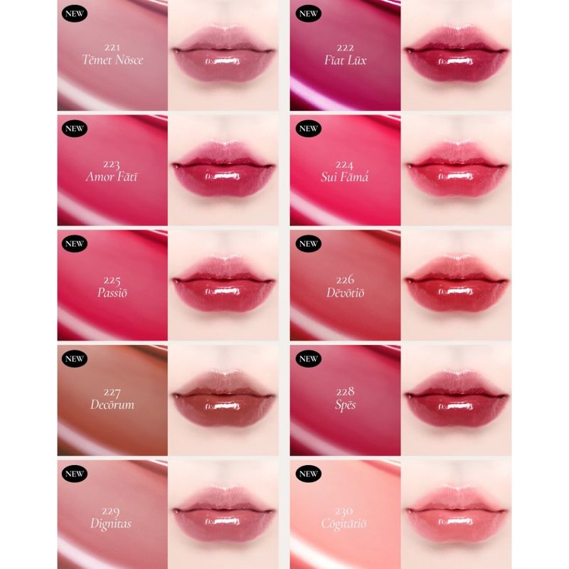 Dinto : Blur-Glowy Lip Tint [Official Store]