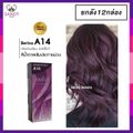 Berina A1-A47 Berina เบอริน่าสีย้อมผมอ่านที่รายละเอียด*กรุณาสั่งขั้นต่ำ2โหลเพื่อความปลอดภัยในการแพ็ค