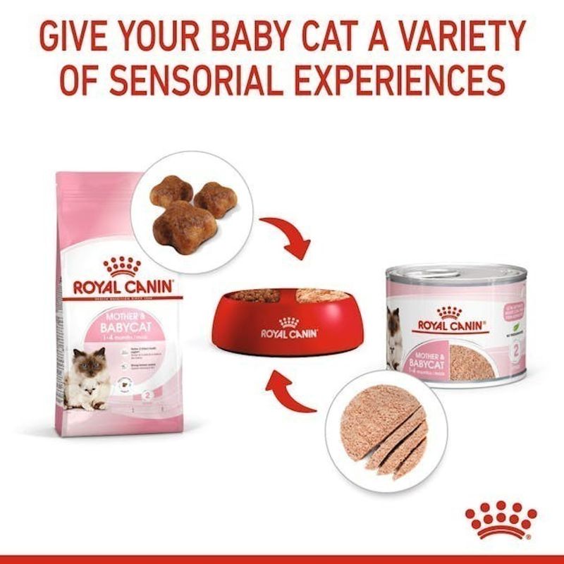 Royal Canin:MOTHER & BABYCAT MOUSSE,่6 กระป๋อง