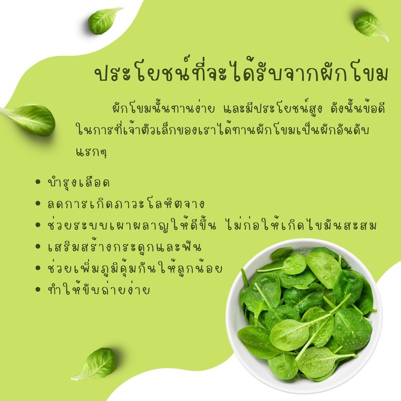 [10 แถม 1] ผงผัก Organic 100% สำหรับเด็ก 6 เดือนขึ้นไป ขนาดทดลอง 5 กรัม