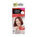 Liese Hair Color Foam