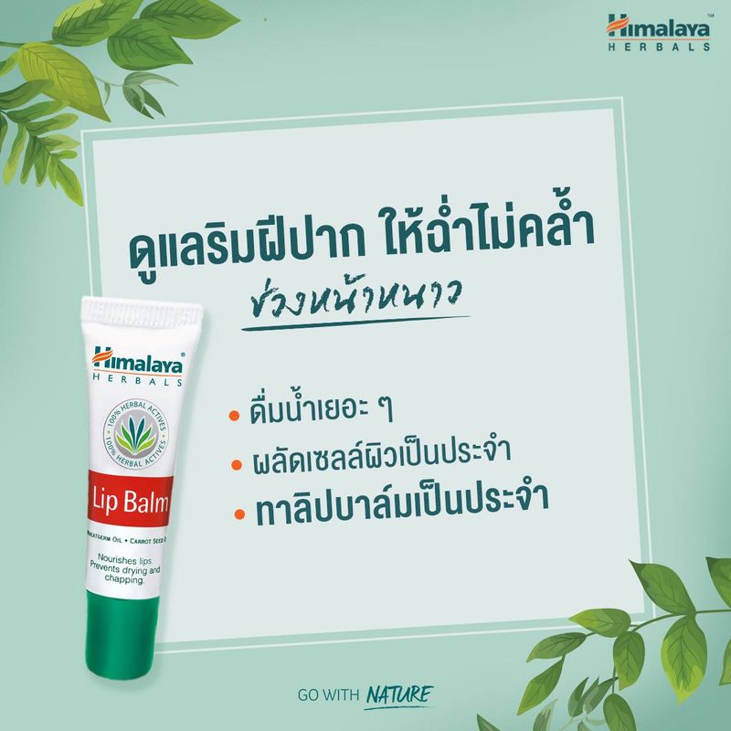 Himalaya Lip Balm 10G