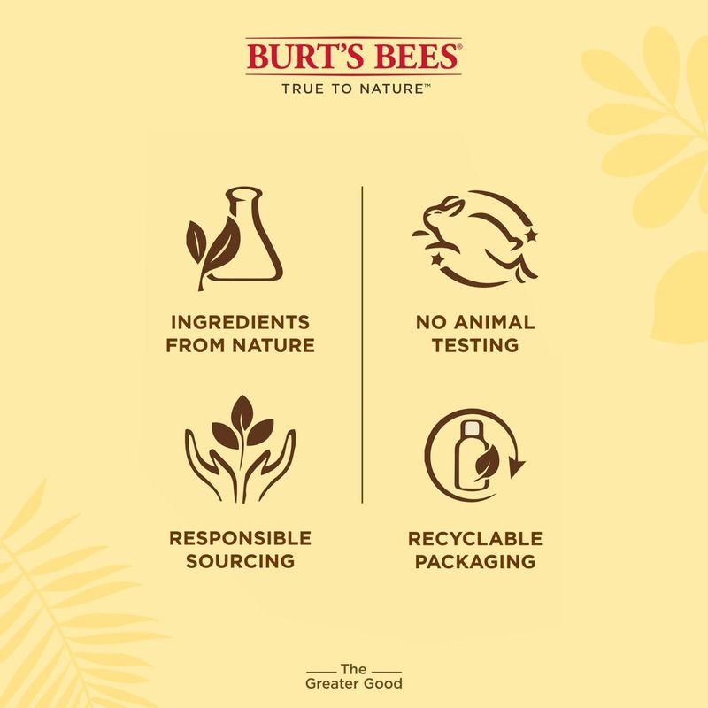 Burts Bees Vanilla Lip Balm เบิร์ตบีส์ ลิปบาล์ม ลิมมัน 4.25 g