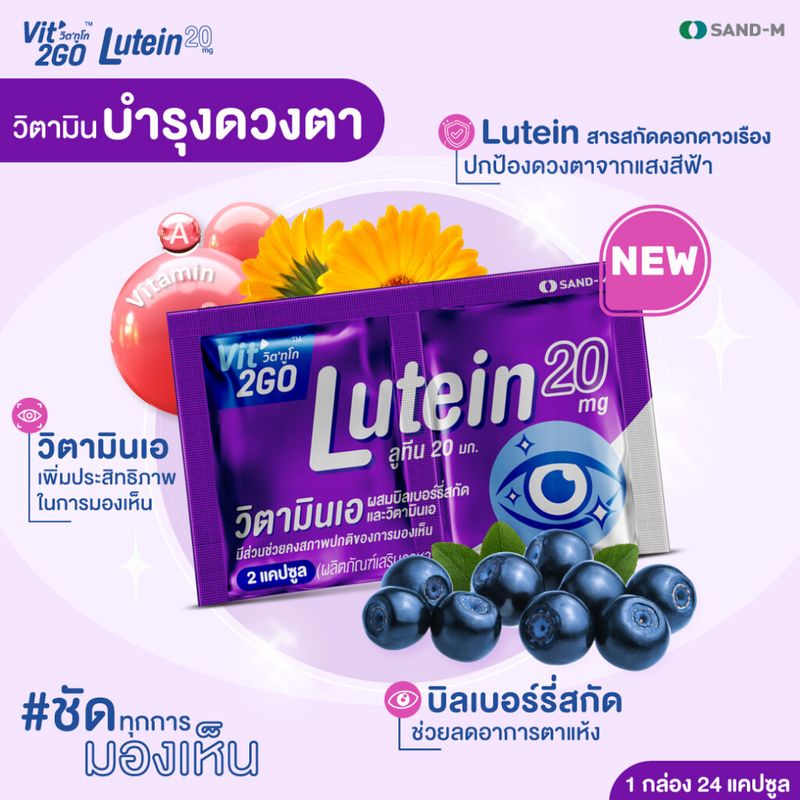 HandyHerb Vit2go Lutein วิตทูโก ลูทีน วิตามิน บำรุงสายตา แก้ตาล้า ชนิดแคปซูล แบบแผง