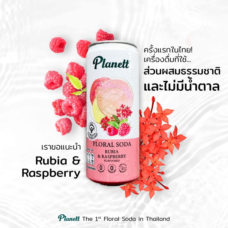 แพลนเนต รูเบีย ราสป์เบอร์รี่ โซดา 325 มล. 6 กระป๋อง PLANETT RUBIA AND RASPBERRY SODA 325 ML Pack 6