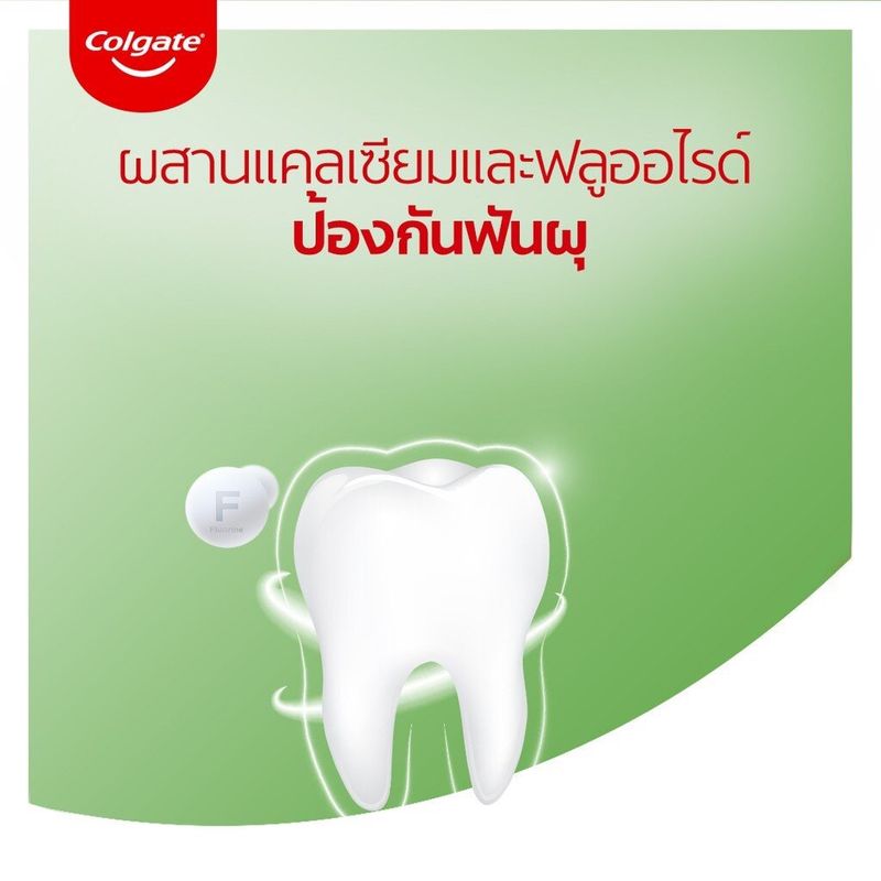 colgate ยาสีฟัน คอลเกต 140-150กรัม สูตรเย้นสดชื่น และ ยอดนิยม