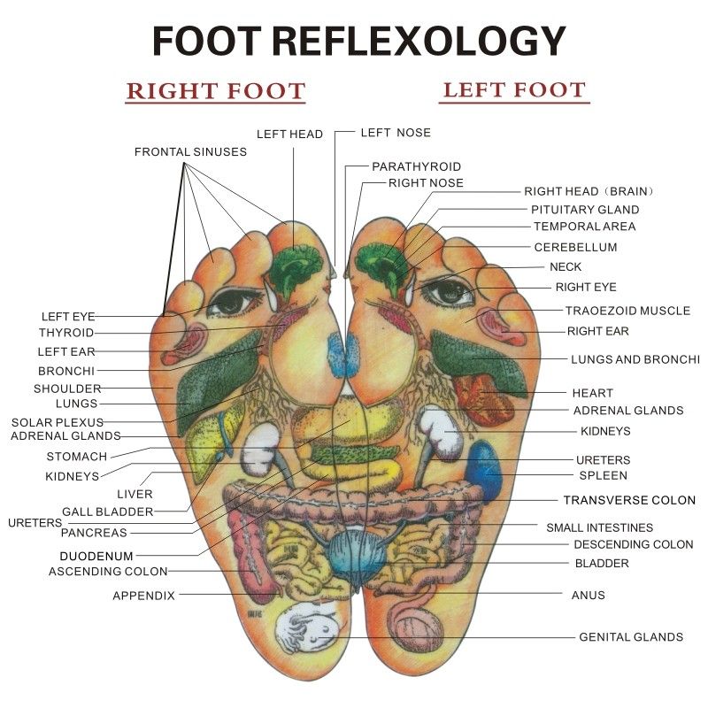 🎊ล็อตใหม่ 🙌 รองเท้าปุ่มนวดกดจุด 🥰 เพื่อสุขภาพ 🦶 FOOT MASSAGE Slipper 💖