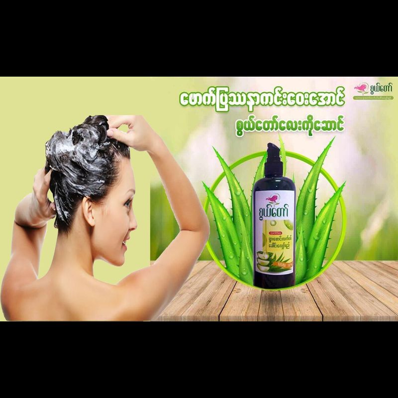 Aloe Vera Shampoo แชมพูว่านหางจระเข้ { Myanmar စယြ္ေတာ္ လ်ွားေစာင္းလက္ပတ္ ေခါင္းေလ်ာ္ရည္ }