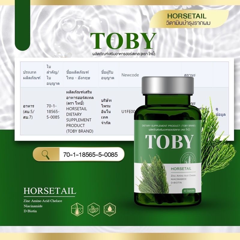 TOBY HORSETAIL ของแท้ หญ้าหางม้าสกัดเย็น โทบี้หญ้าหางม้า วิตามินบำรุงผม ชะลอเกิดหงอก ลดผมร่วง ทำให้รากผมแข็งแรง✨