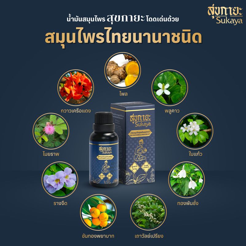 ของแท้100% [3ฟรี2] สุขกายะ น้ำมันนวดสมุนไพร สูตรตำรับวัดโพธิ์ ทาและนวด ปวดต้นคอ บ่า เส้นยึดตึง เส้นจม ปวดหลัง ปวดเอว แก้ออฟฟิศซินโดรม by TV Direct