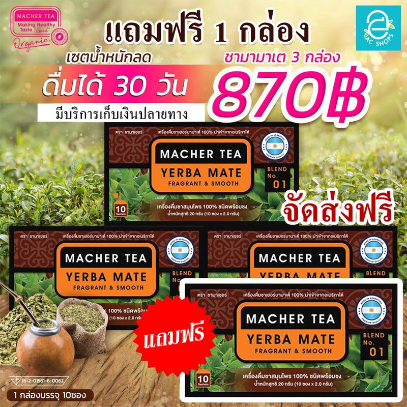 [ ซื้อ 3 แถม 1 กล่อง ] ชาผอม ชามาเต by ชามาเชอร์ Macher Tea เครื่องดื่มชาเยอร์บามาเต นำเข้าจากอเมริกาใต้ ออร์แกนิค100%