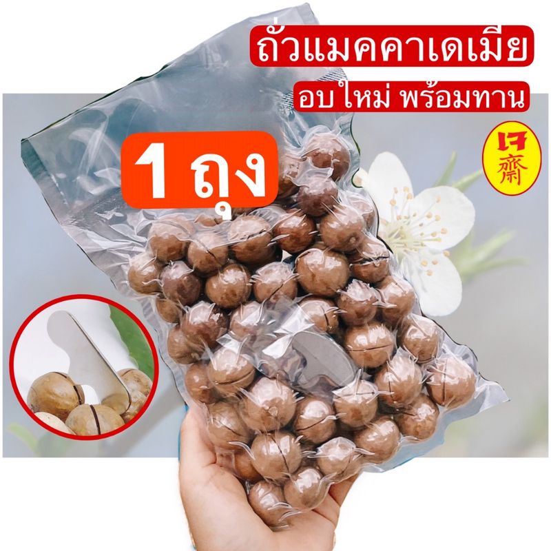 แมคคคาเดเมีย macadamia อบพร้อมทาน กะลาแถมที่แกะ