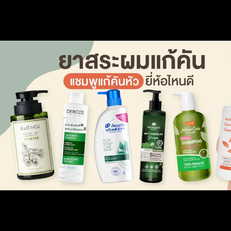 6 ยาสระผมแก้คัน แชมพูแก้คันหัว ยี่ห้อไหนดี ปรับสมดุลหนังศีรษะ ลดเชื้อรา หยุดผมร่วง