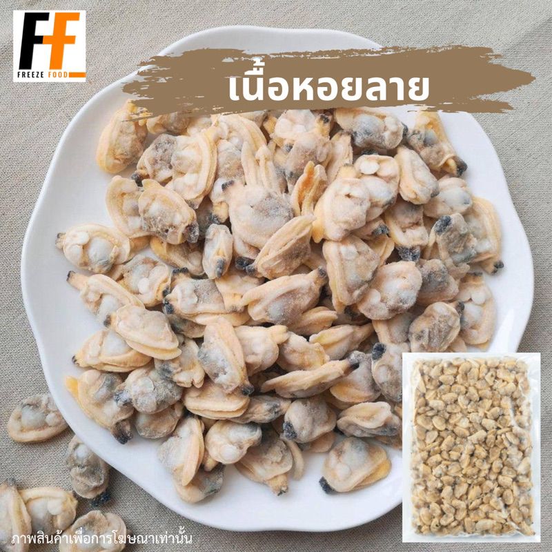 เนื้อหอยลายแช่แข็ง 1 กิโลกรัม | FROZEN CLAM MEAT