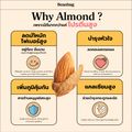 Beanbag Mix Almond Protein โปรตีนอัลมอนด์และโปรตีนพืชรวม 5 ชนิด รส Yuzu Bliss 800g