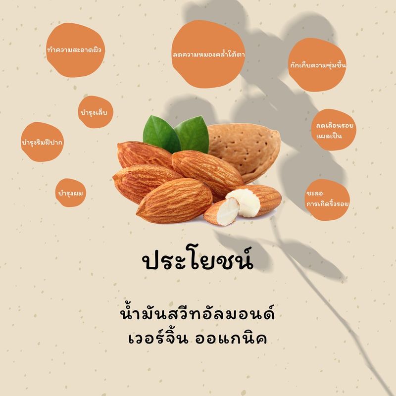 น้ำมันสวีทอัลมอนด์ เกรดรีไฟน์ สีอ่อน กลิ่นอ่อน SWEET ALMOND OIL - REFINED