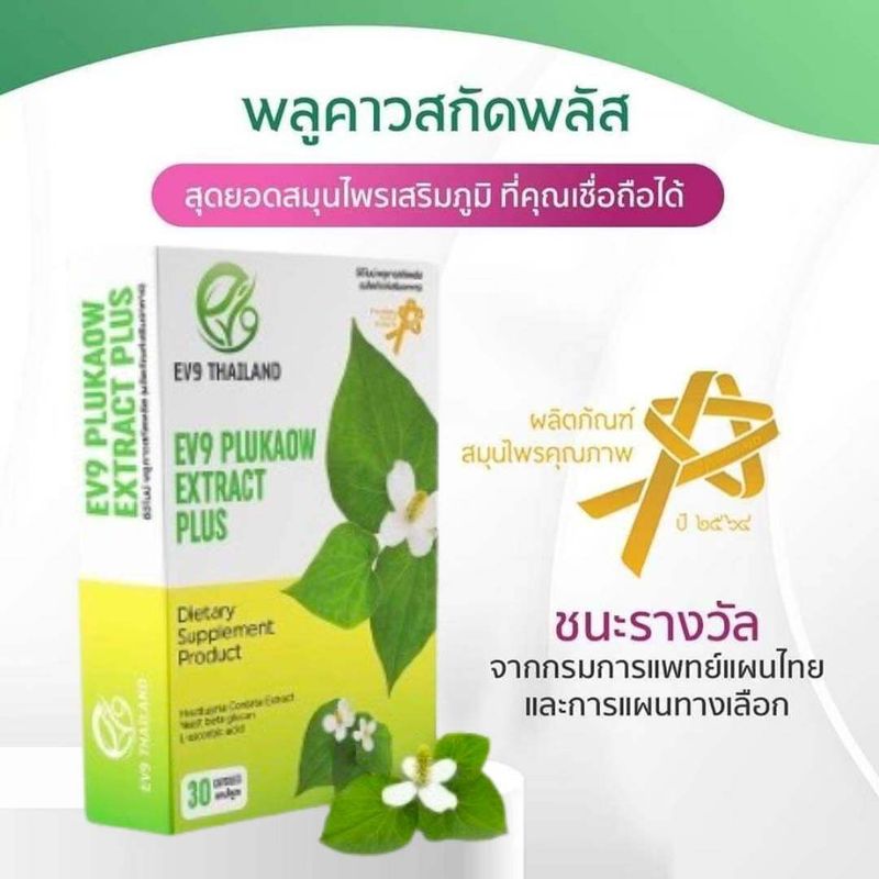 ผลิตภัณฑ์เสริมอาหาร EV9 พลูคาวสกัดพลัส Plukaow Extract Plus ผลิตภัณฑ์สมุนไพรคุณภาพ ของแท้100%