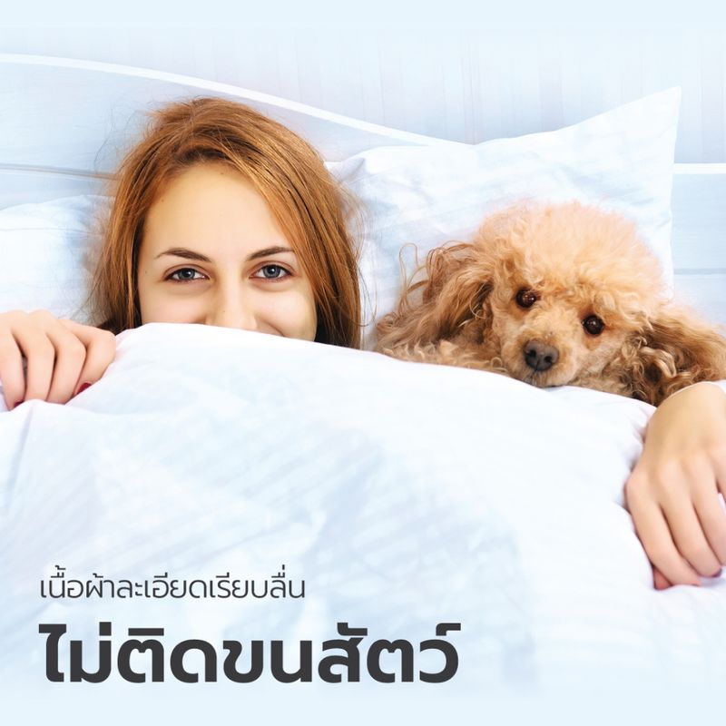 LUCKY mattress ชุดเครื่องนอน ชุดผ้าปูที่นอนทอลายพร้อมผ้านวม Micro Touch Premium Five Star Hotel Collection