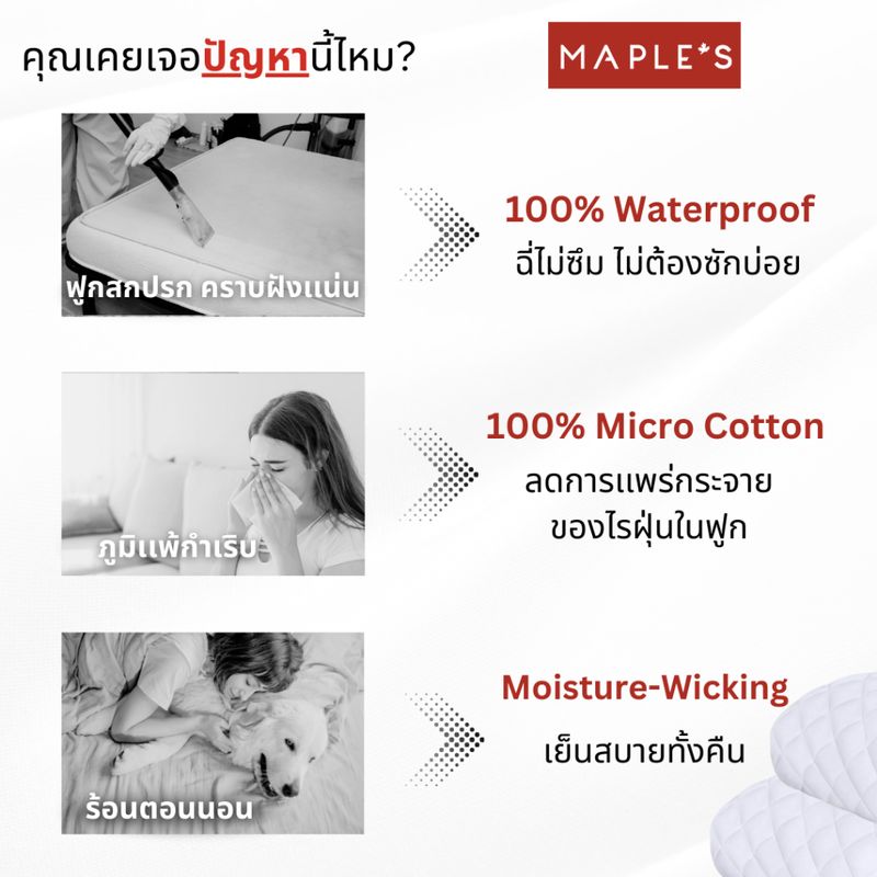 MAPLE'S ผ้ารองกันเปื้อน​รัดมุม [กันน้ำกันรา100%]​ ไม่มีชั้นพลาสติกไม่มีเสียง ​Mattress Protector